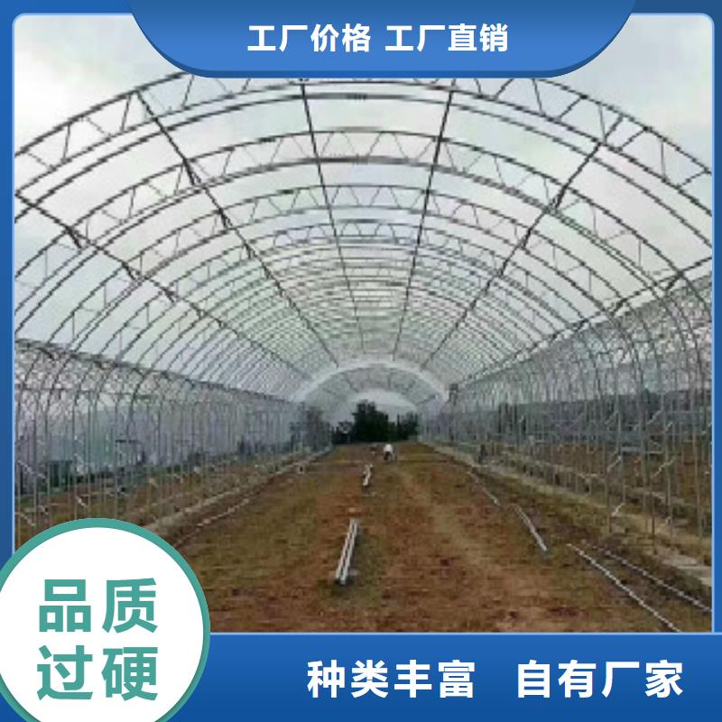 大棚管E方管支持货到付清品质之选