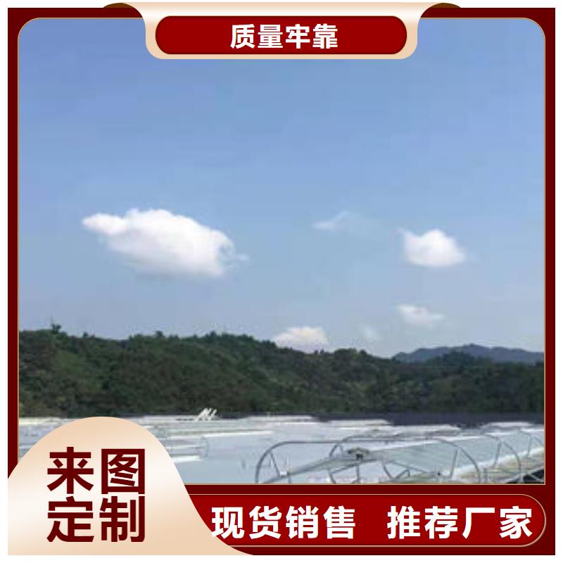 屋顶通风器直供厂家同城公司