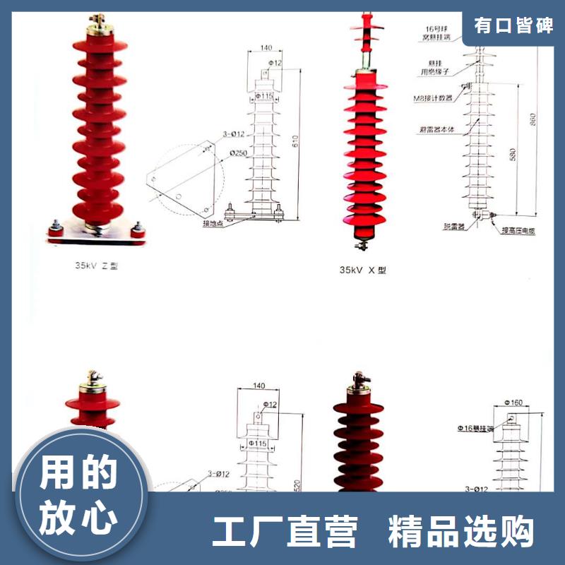 氧化锌避雷器高压限流熔断器现货齐全售后无忧本地供应商