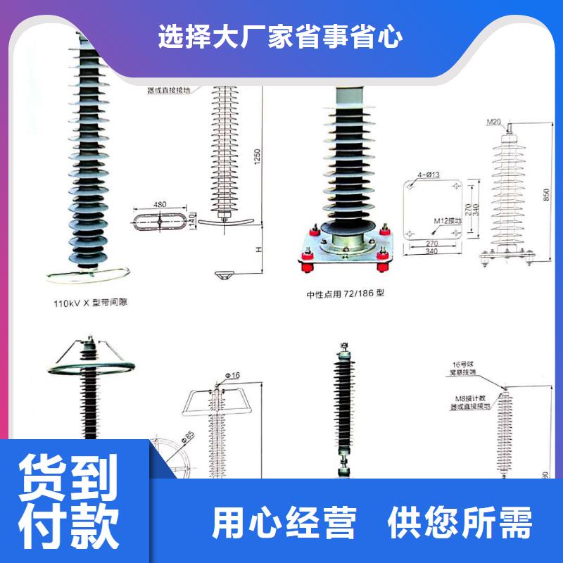 氧化锌避雷器高压负荷开关敢与同行比价格本地经销商