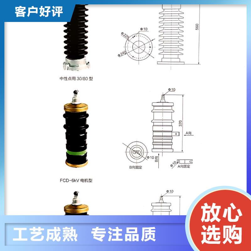 氧化锌避雷器户外高压真空断路器源头厂家好货有保障