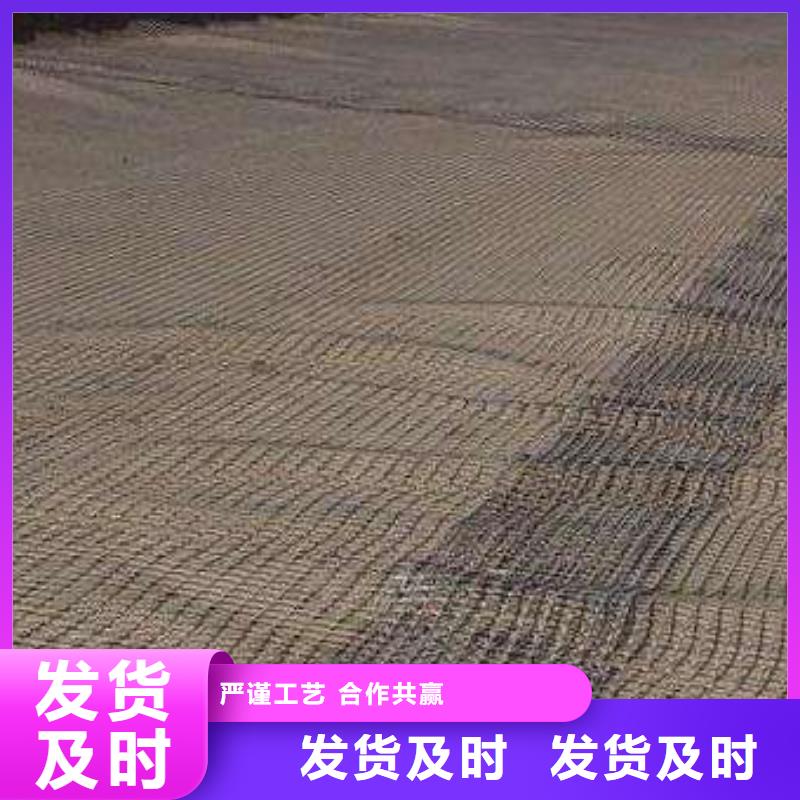 【玻纤土工格栅】三维土工网垫实力厂家直销当地经销商