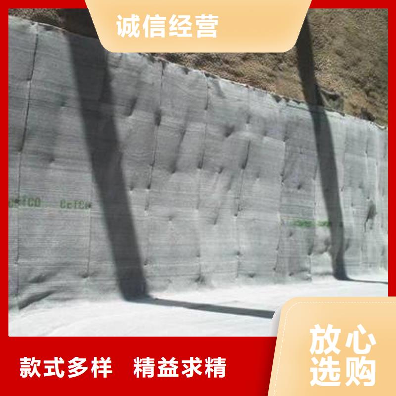 膨润土防水毯PVC防水卷材厂家直销供货稳定一站式供应