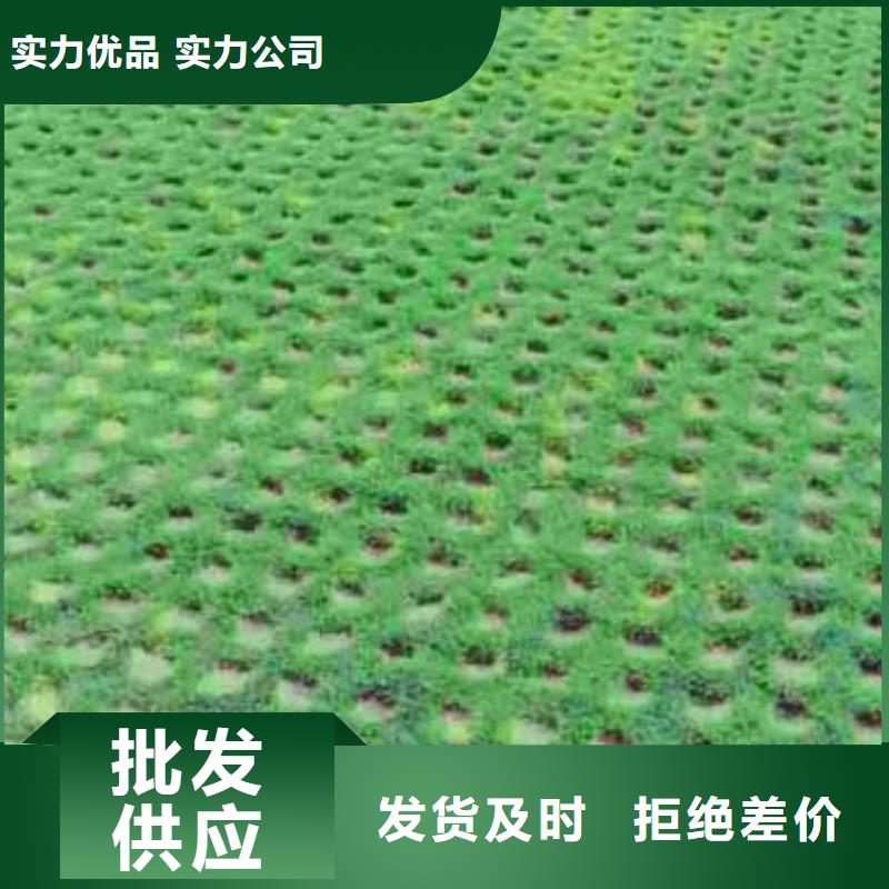 植草格蜂巢格室闪电发货实力商家供货稳定