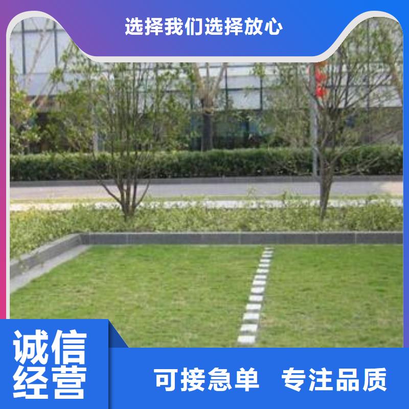 植草格_双向拉伸塑料格栅现货厂家经验丰富