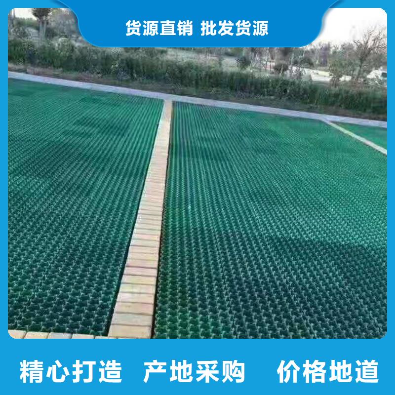 【植草格】双向塑料土工格栅送货上门把实惠留给您