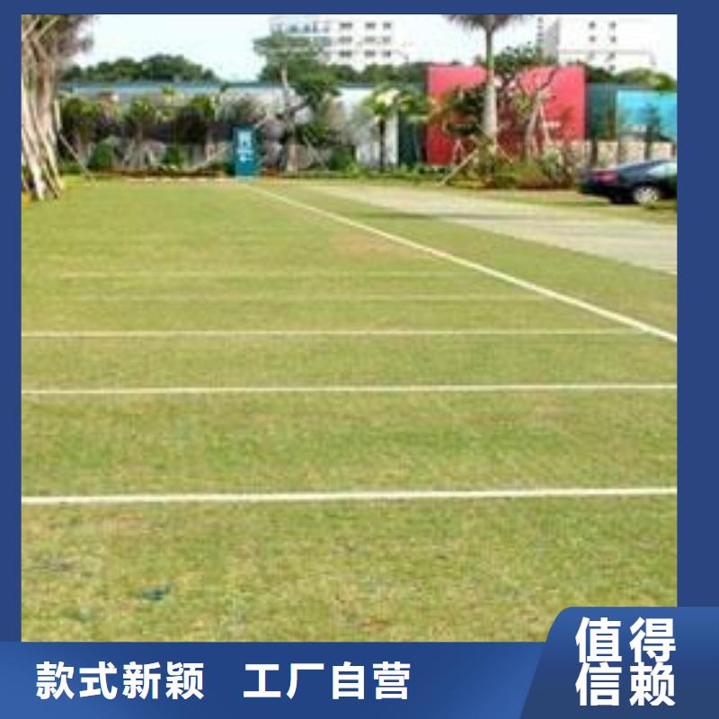 【植草格】,短丝土工布专业厂家专业供货品质管控