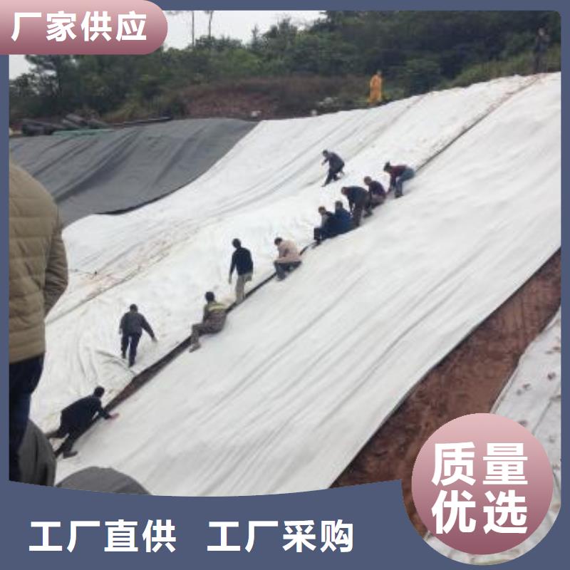 膨润土防水毯玻纤土工格栅拒绝差价同城公司