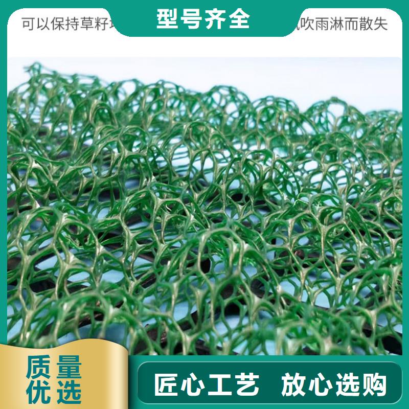 三维植被网养殖膜源厂直销当地品牌