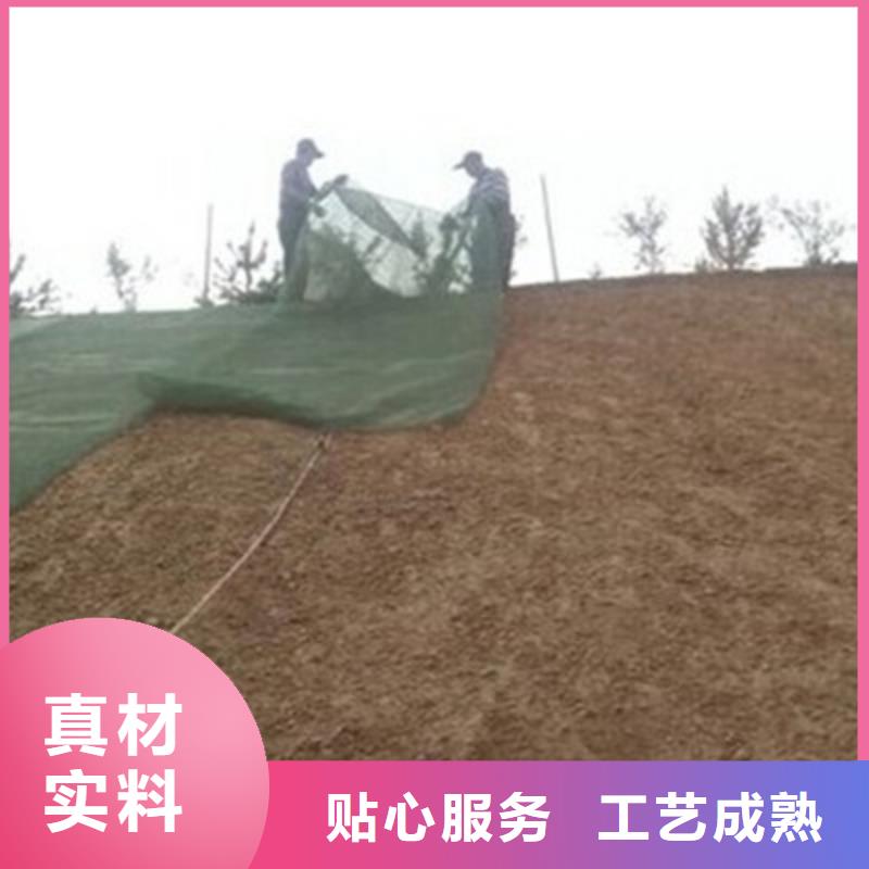 三维植被网钢塑土工格栅当地货源优质原料