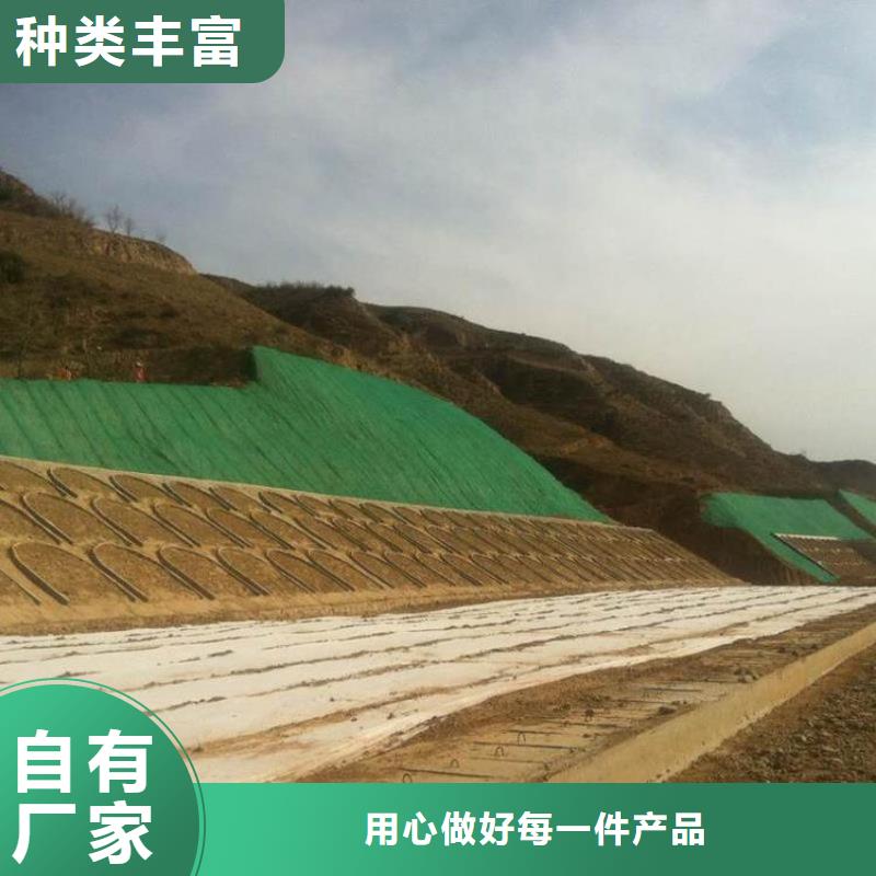 三维植被网【单向塑料土工格栅】经销商源头工厂量大优惠