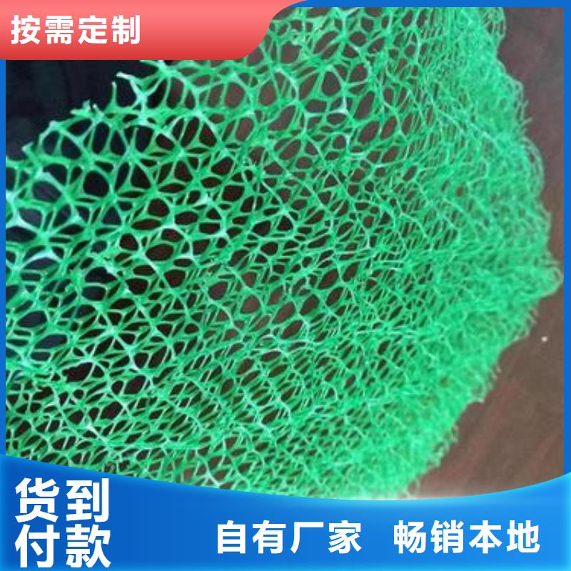 三维植被网-土工席垫实拍品质保障不只是质量好