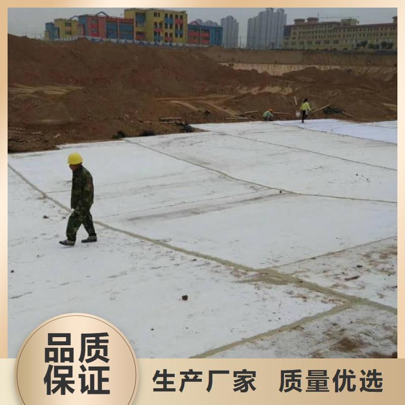 防水毯【涤纶土工格栅】商家直供同城厂家