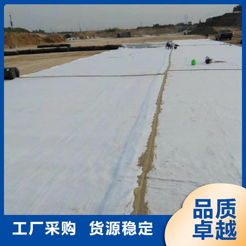 【防水毯护坡土工网厂家直销大量现货】源厂定制