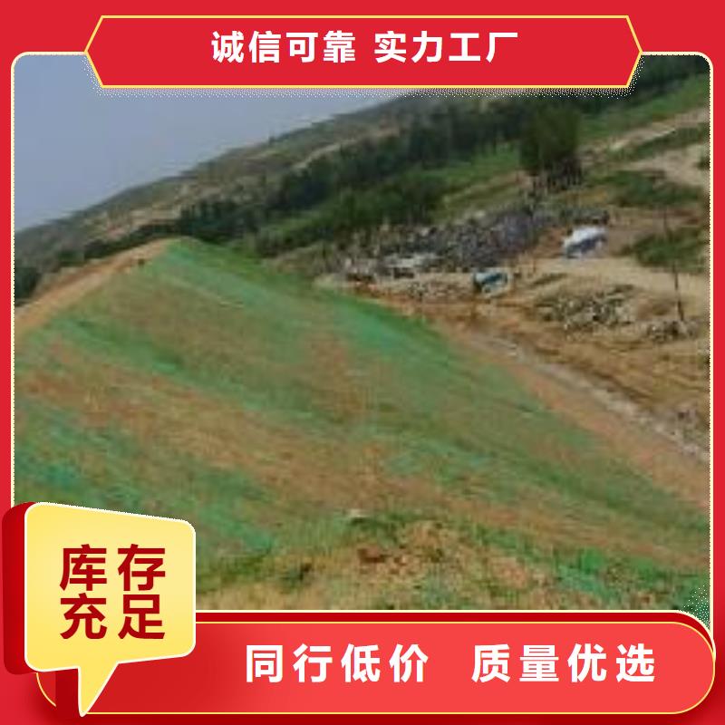 三维植被网单向塑料土工格栅高性价比当地生产商