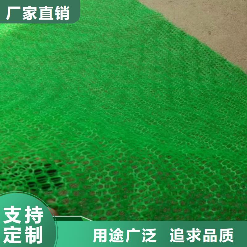 三维植被网三维土工网垫品牌企业当地服务商