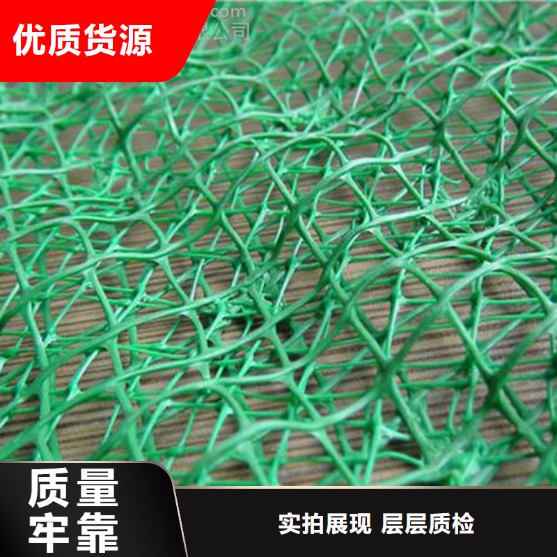 三维植被网玻纤土工格栅随到随提实力优品