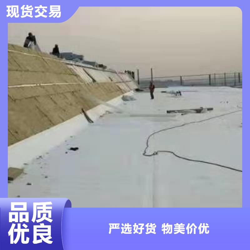 TPO-【PVC防水卷材】源头工厂量大优惠一站式厂家