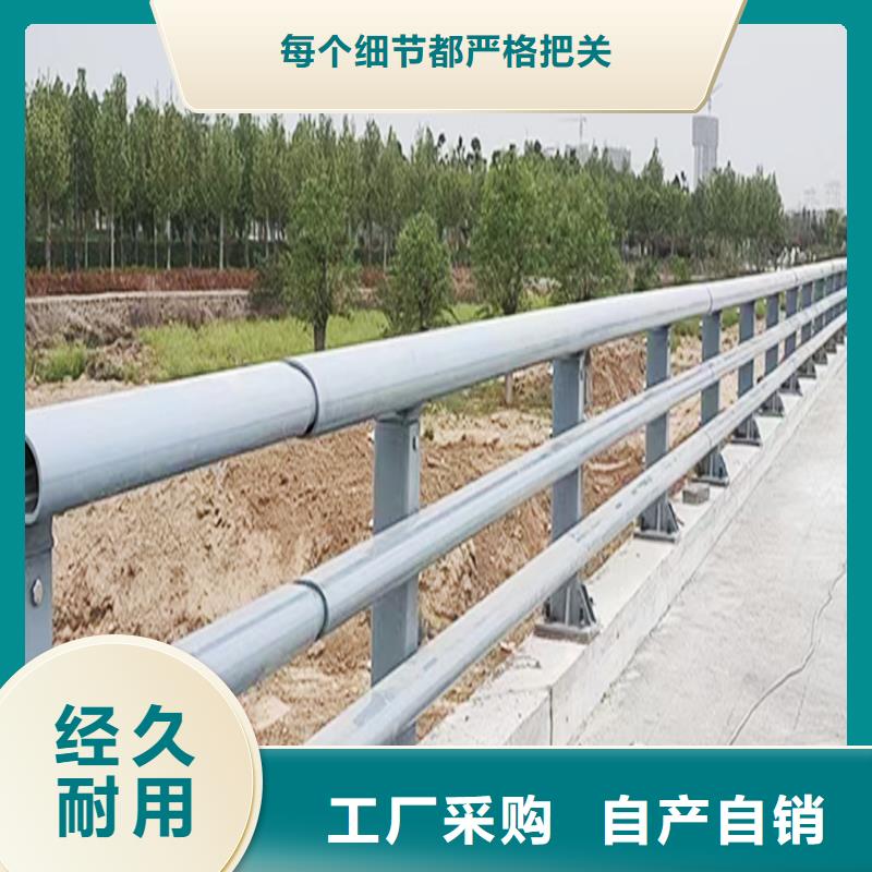 景观灯光护栏现货充足量大实地大厂