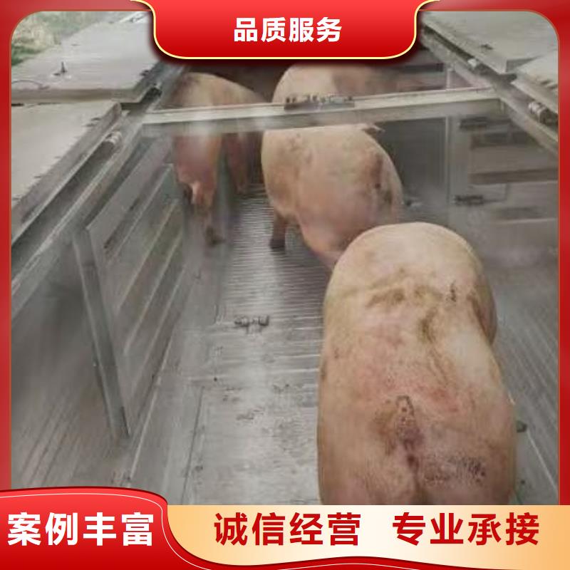 宿迁泗洪到黔南二育运输管理规范