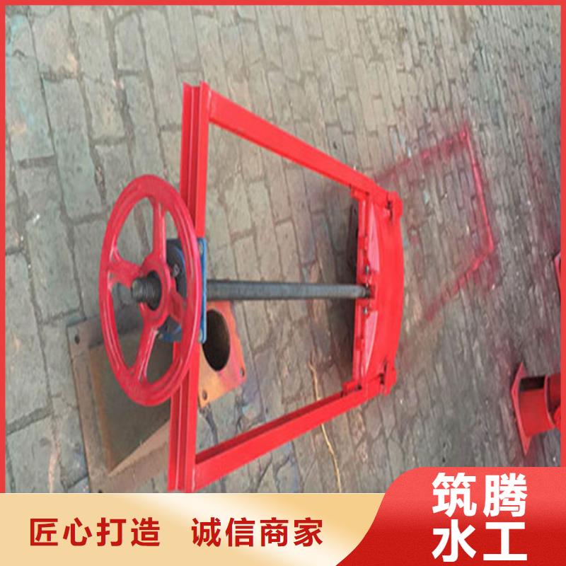 拱形铸铁闸门工厂直供本地生产商