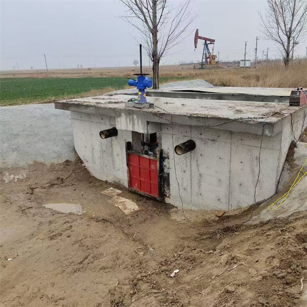 铸铁闸门镶铜铸铁闸门工程施工案例