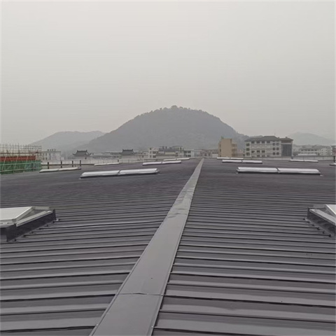 TC10B-2030n薄型通风天窗-品质看得见
