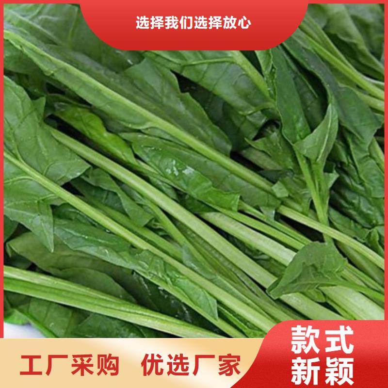 菠菜段直销价格现货快速采购