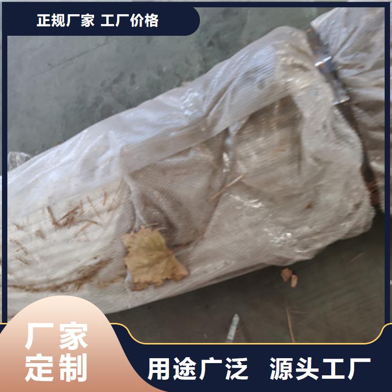 不锈钢景观栏杆样式专业生产厂家