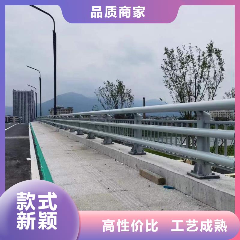 道路防撞护栏成功案例当地制造商