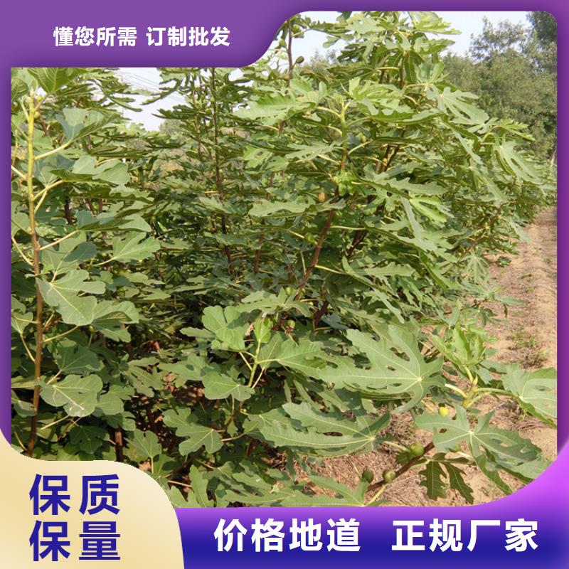 无花果奶油草莓加工定制品质之选