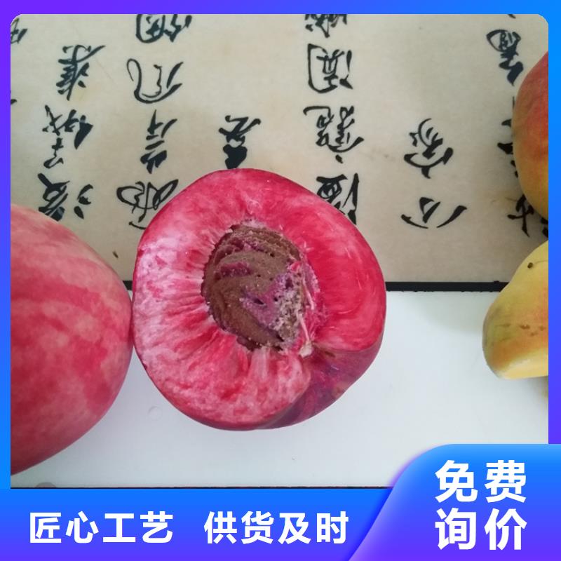 【桃_草莓苗用心制造】一手货源源头厂家