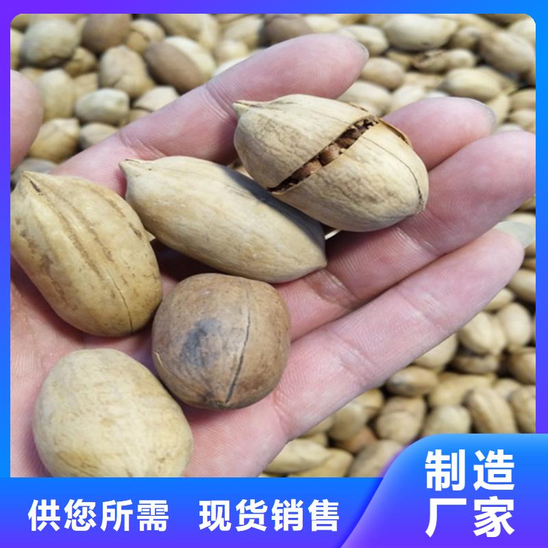 碧根果苹果苗注重细节质量上乘