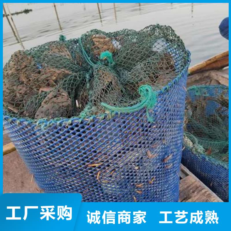 阳澄湖大闸蟹定制加工附近生产商