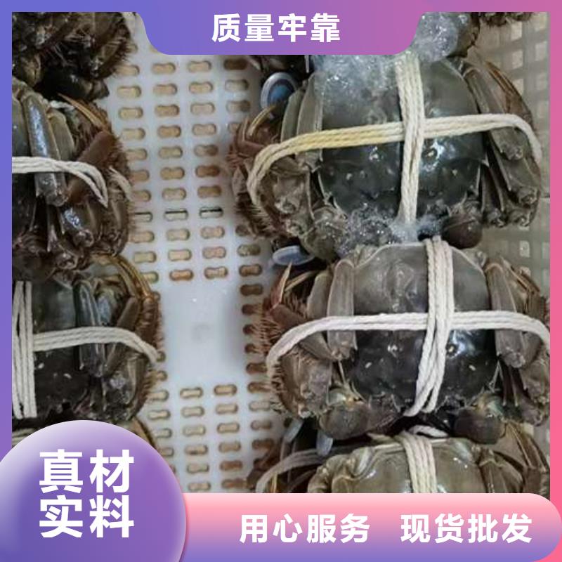 阳澄湖大闸蟹款式齐全工程施工案例