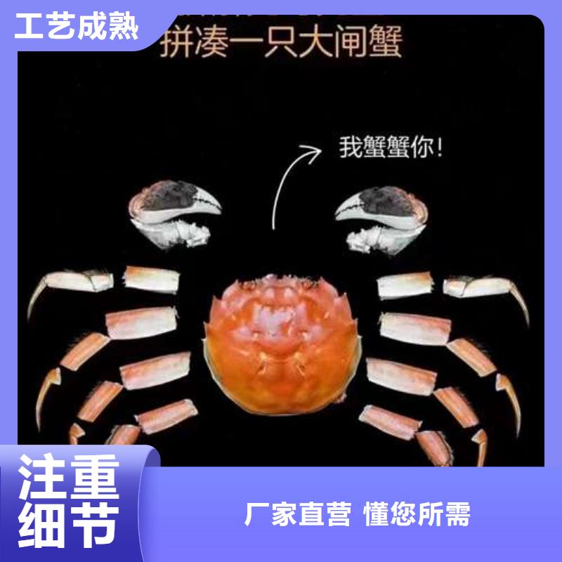 阳澄湖大闸蟹-实体厂家质量放心市场行情