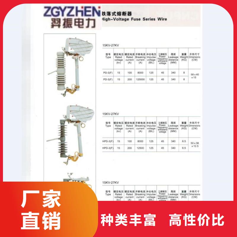 【跌落式开关】RW12-15/100附近制造商