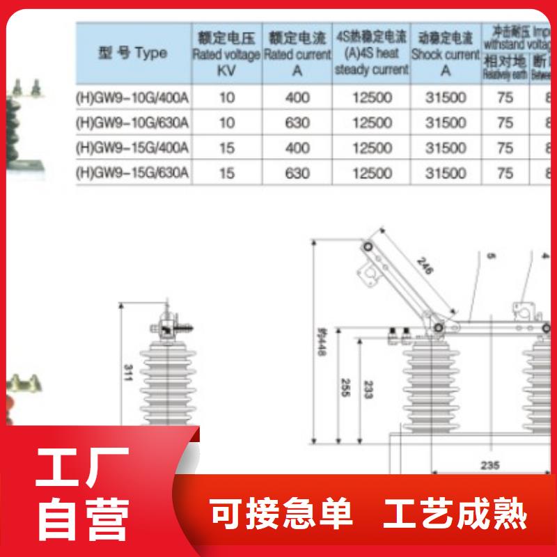 单极隔离开关HGW9-12W/1000A实体厂家当地厂家