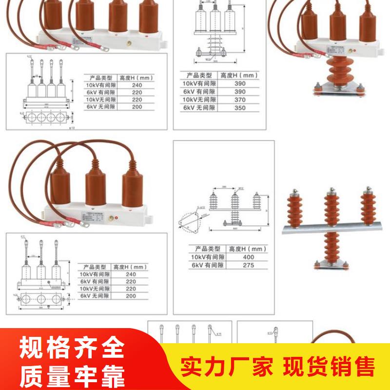 【】过电压保护器(组合式避雷器)YH5WZ-17/45*2当地厂家