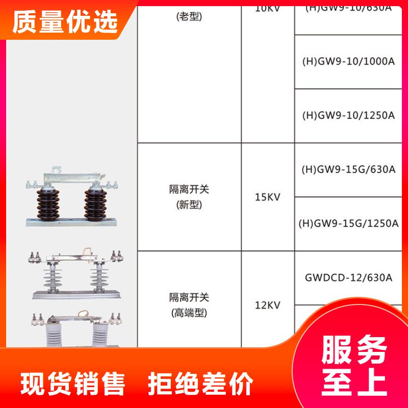 【高压隔离开关】HGW9-12KV/200当地经销商