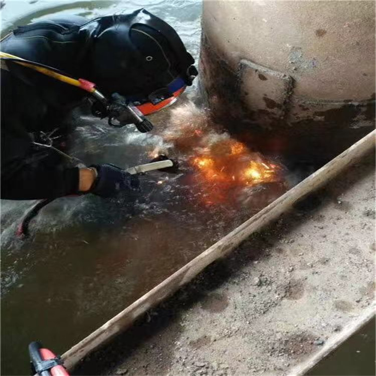 扬州市蛙人打捞队-实力潜水服务公司