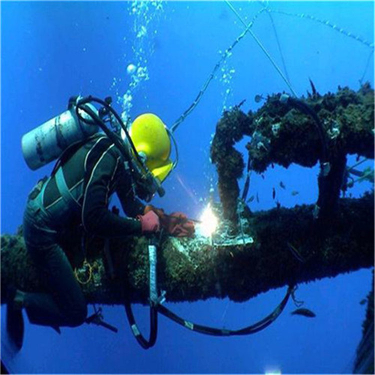 扬州市蛙人打捞队-实力潜水服务公司