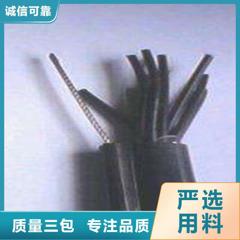 性价比高的10X2X1计算机用电缆销售厂家闪电发货