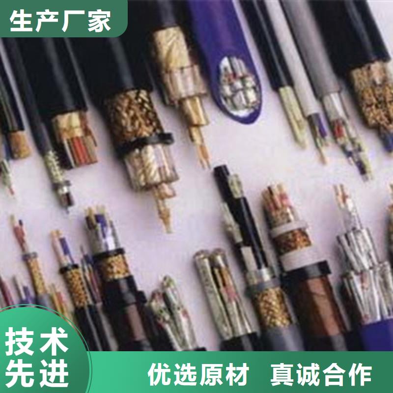 口碑好的低烟无卤计算机电缆WDZ-DJYPV22厂家每个细节都严格把关