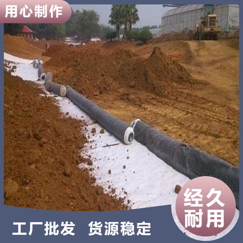 膨润土防水毯【土工格栅】产地厂家直销精选优质材料