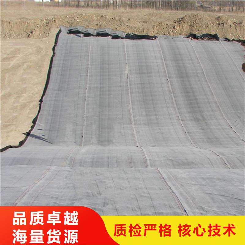 膨润土防水毯_【防渗膜】选择我们没错真正的源头厂家