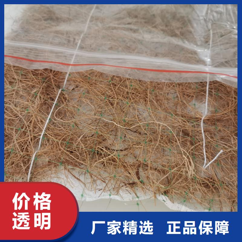 椰丝毯土工膜好品质售后无忧当地生产厂家