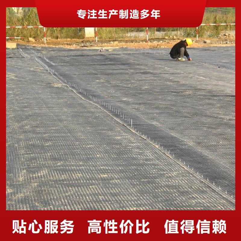 土工格栅钢塑土工格栅源头厂家来图定制快速发货