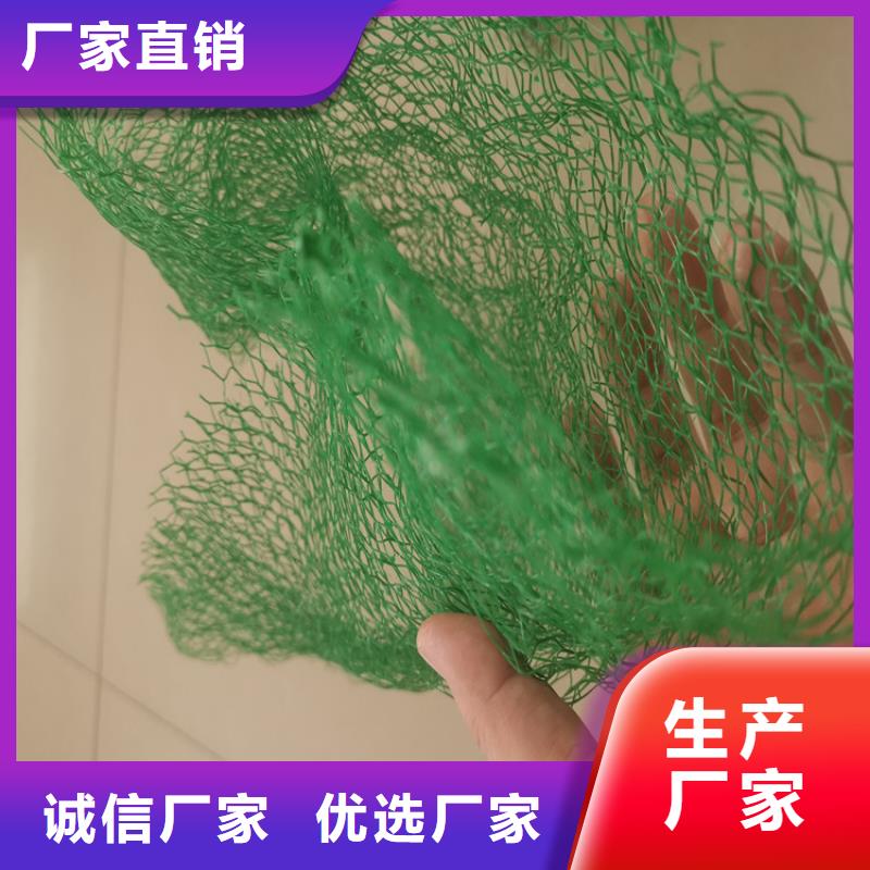 三维植被网_【聚丙烯长丝土工布】您身边的厂家质量看得见