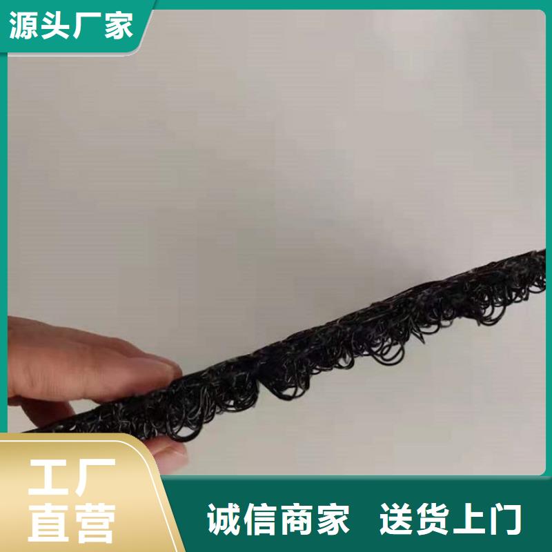 水土保护毯三维植被网经验丰富品质可靠附近厂家